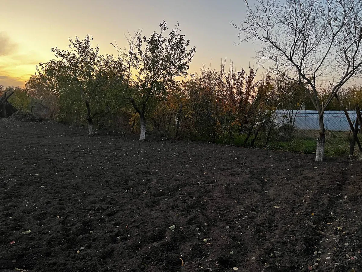 В мае начнут отбирать землю: всех, у кого участок или дача в собственности, ждет новое правило