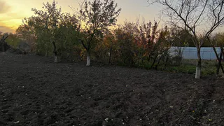 В мае начнут отбирать землю: всех, у кого участок или дача в собственности, ждет новое правило