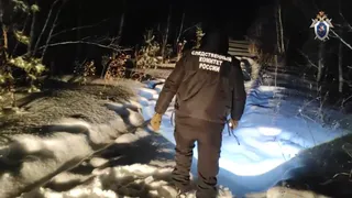 Бывшего депутата будут судить за убийство женщины в Челябинской области