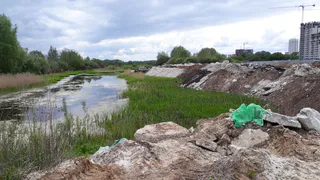 Пруд за "Премьером" завалили мусором: Про Город побывал на месте будущей стройки