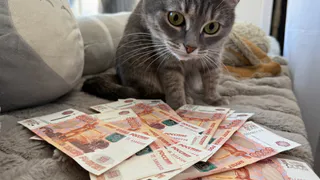 В Рязанской области мужчина собрал с людей 6.2 миллионов и потерял их