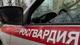 Сотрудники Росгвардии задержали сыктывкарку за драку в баре столицы Коми