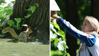 Обновление для белок: в ЦПКиО появились новые кормушки