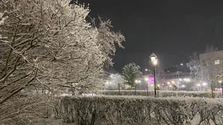 Погода в России на этой неделе: где будет тепло, а где — экстремально холодно