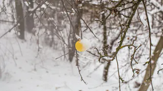 Ожидается последняя в сезоне волна холода: синоптики дали неожиданный прогноз на март