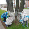 В Пензе в рамках субботника побелили деревья и убрали мусор