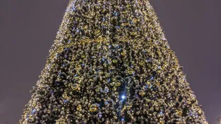 Жители области смогут принять участие в акции «Елка желаний»