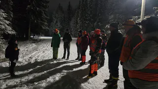 18 заявок и 11 найденных: отряд "ЛизаАлерт" подвел итоги работы в Коми за ноябрь