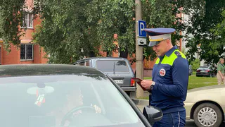 Эти марки авто инспекторы ДПС останавливают реже остальных