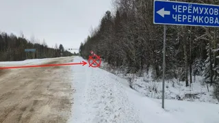 В Прилузье Коми водитель на Hyundai Creta опрокинулся в кювет и погиб