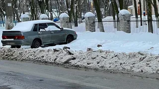 В Шацке мать оставила ребенка в машине на морозе