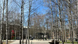 Челябинскую область ждут теплые, но облачные выходные с вероятностью дождей