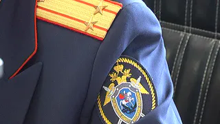 Бастрыкин распорядился возбудить уголовное дело после обращения жителей Рязани к Путину