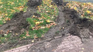 При вывозе собранной листвы из сквера в Рязани пострадал газон