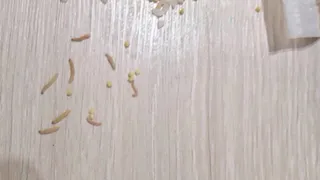 «Мясо в подарок»: в Брянске продают кашу с личинками