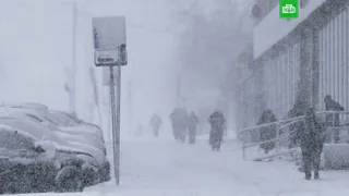 12 февраля в Рязанской области ожидается метель и мощный ветер