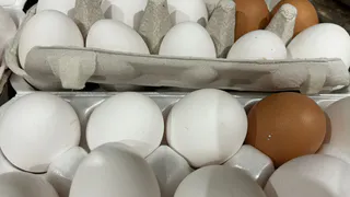 Никогда не начинайте варить яйца в холодной воде - и вот почему. Запомните раз и на всю жизнь