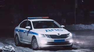 За выходные в Рязанской области поймали 12 пьяных водителей