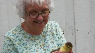 «Теперь это будет бесплатно для любого пенсионера». Новая льгота вводится с 14 марта