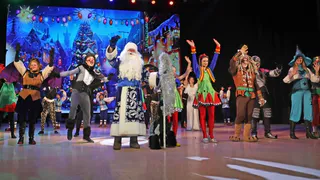 Владимирских детей пригласили на Губернаторские ёлки со "Снежной королевой"