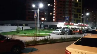 Дорожные знаки в клумбе – куда ведет пешеходный переход в микрорайоне "Олимпийский городок"