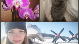 Инстаграм рязанцев: орхидея, музей и чеширский кот