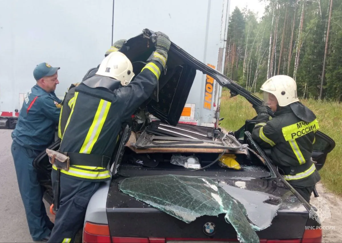 МЧС России деблокировало пострадавших в ДТП у деревни Лихая Пожня