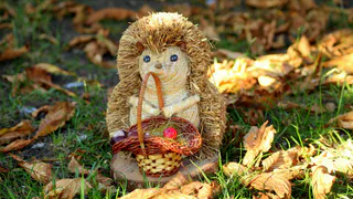 Pro Город запускает конкурс Осенних поделок 2021!