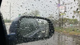 20 июня в Рязанской области прогнозируют дождь и до +25 градусов