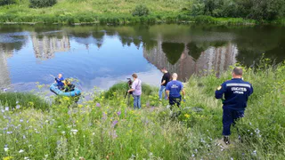 Рыба всплывает кверху брюхом: в пруд  на Зубковой третий год льется канализация