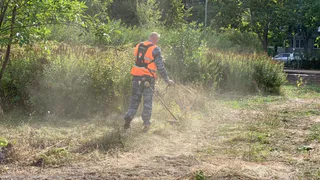 Скоро все: в Комсомольском парке работы по благоустройству вошли в завершающую стадию