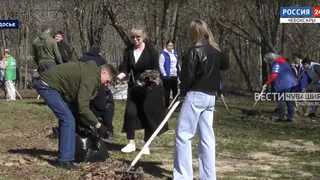 В Чебоксарах планируется высадить 150 саженцев деревьев