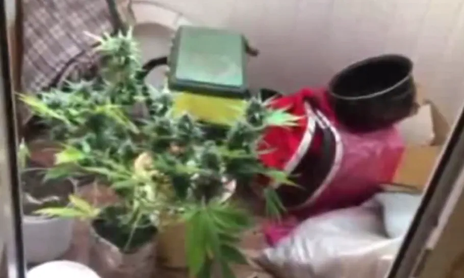 Рязанские полицейские поймали наркоторговцев