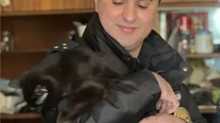 Участковый спас кошек и собаку, запертых в квартире в Магнитогорске, от голодной смерти