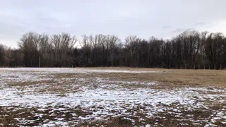 17 ноября в Рязанской области ожидается гололедица и похолодание до -5