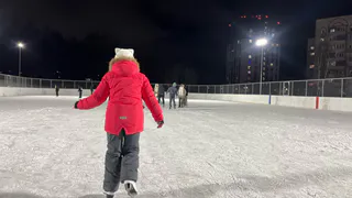 Сколько стоит покататься на коньках в Нижнекамске