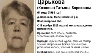 В Меленковском районе пропала 64-летняя женщина с палками для скандинавской ходьбы