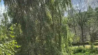 Поправки в Конституцию: в школе №31 голосуют под очень громкую музыку