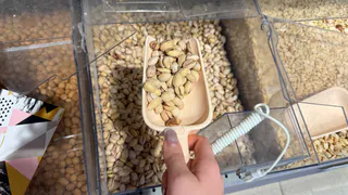 Ученые назвали самый полезный орех — не миндаль, не арахис и в два раза полезнее грецкого