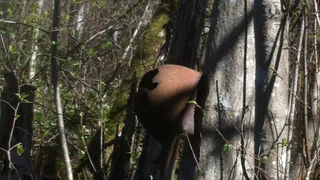 Поисковый отряд «Северная звезда» отправился из Сыктывкара на Новгородчину