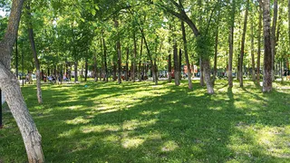 Рязанцев приглашают обсудить благоустройство парка «Рюмина Роща»