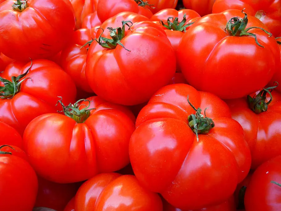 1 ложку на лунку - томаты не болеют и всегда мясистые