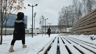 Гороскоп на 21 марта: Близнецов ждет куча денег, Львам приготовили подарки