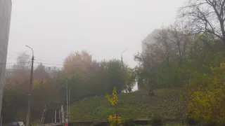 В Рязани МЧС объявило метеопредупреждение из-за тумана