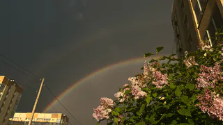 «Кошмар начнется 5 июля и будет 30 дней подряд». Синоптики сказали, что это будет