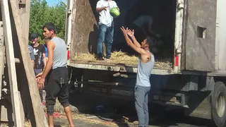 Южная окружная дорога в Рязани покрылась арбузами - перевернулся грузовик