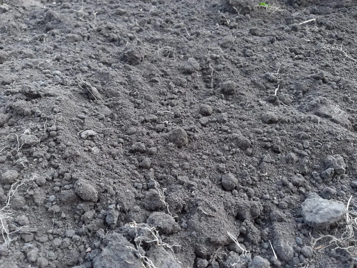 Как там жить? Ни подъездных путей, ни газа, ни электричества, ни воды!