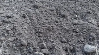 Как там жить? Ни подъездных путей, ни газа, ни электричества, ни воды!