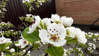 Весна придет раньше, лето будет жарким: синоптик Тишковец рассказал к чему надо быть готовым