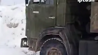 «Пугал, а не бил»: водитель из Заинска объяснил жестокое видео с котом